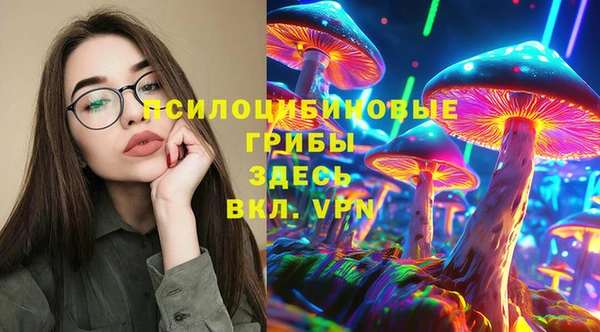 прущие грибы Алексеевка