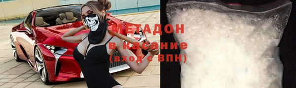 прущие грибы Алексеевка